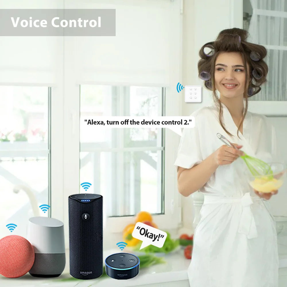 WiFi Double Curtain Switch