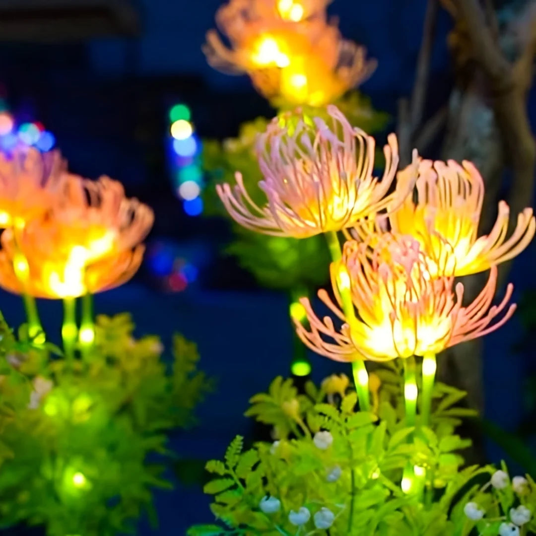 Solar Garden Lights