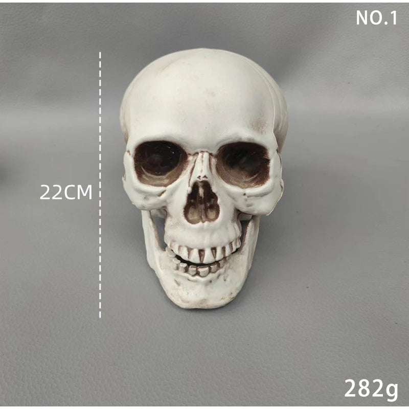 Halloween Skull Decoration