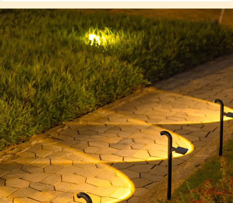Solar Lawn Lights