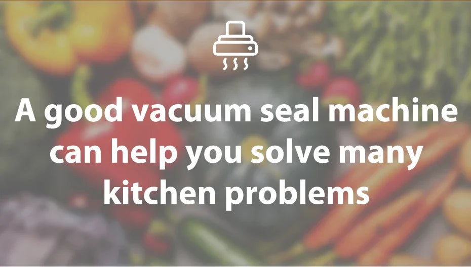 Vacuum Sealer Packaging Machine with 10 Vacuum Bags