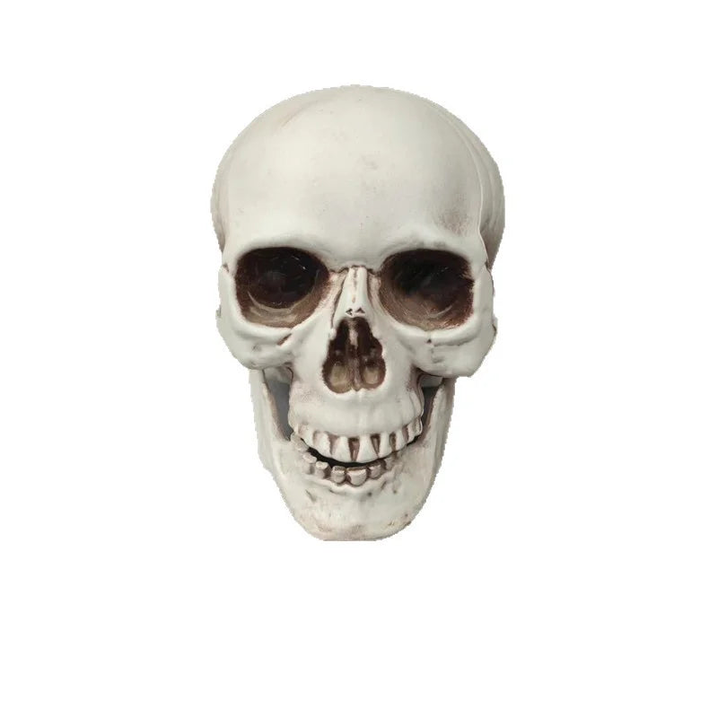 Halloween Skull Decoration
