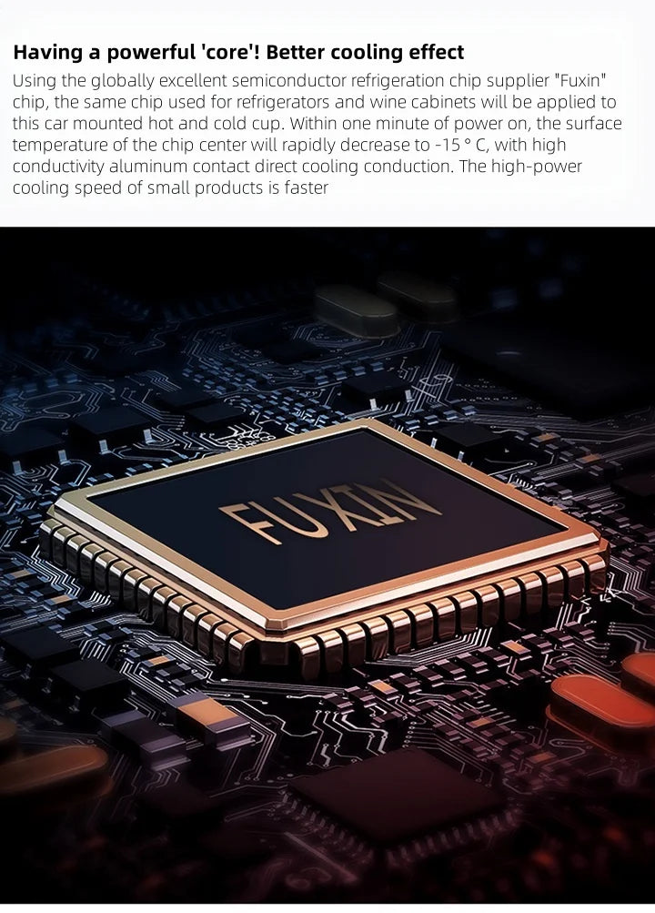 2 In 1 Car Cup Mug Holder