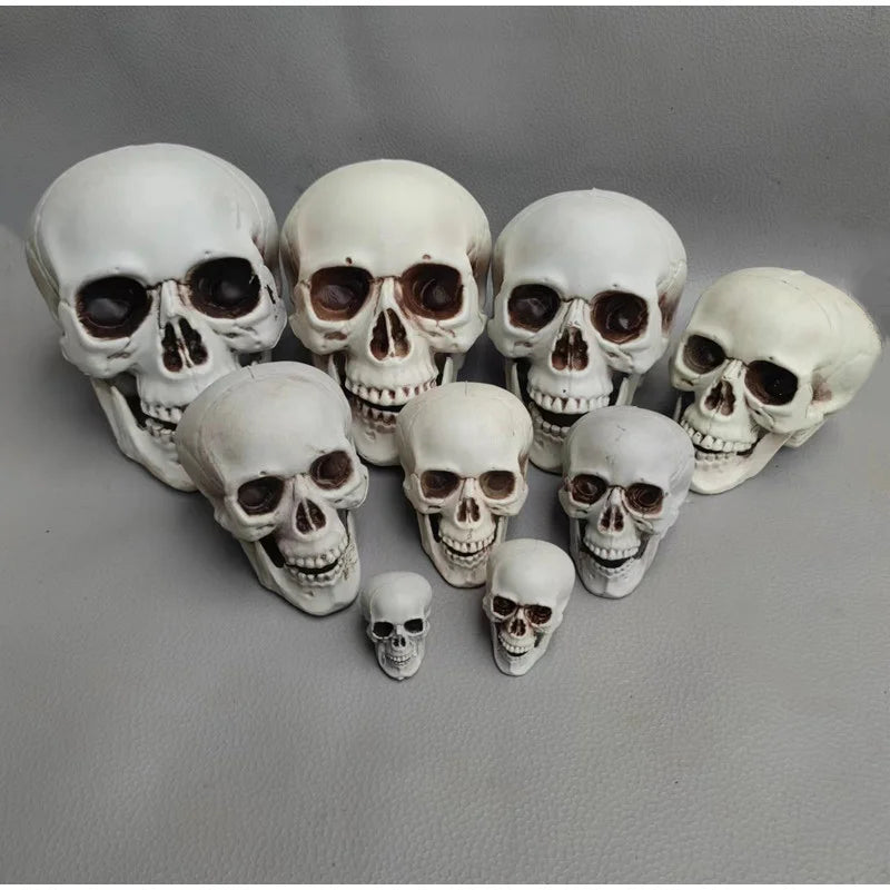 Halloween Skull Decoration
