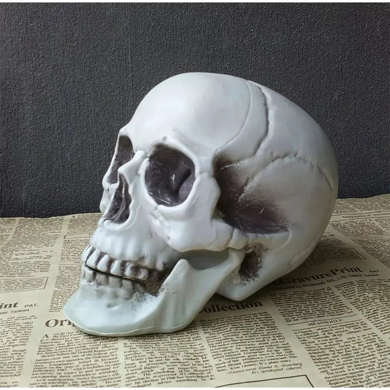 Halloween Skull Decoration
