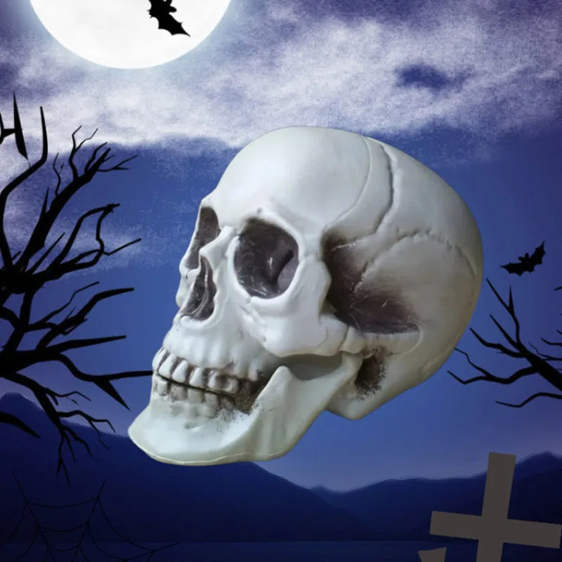Halloween Skull Decoration