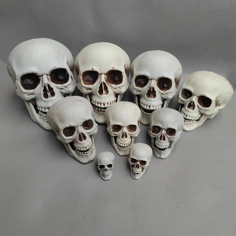 Halloween Skull Decoration