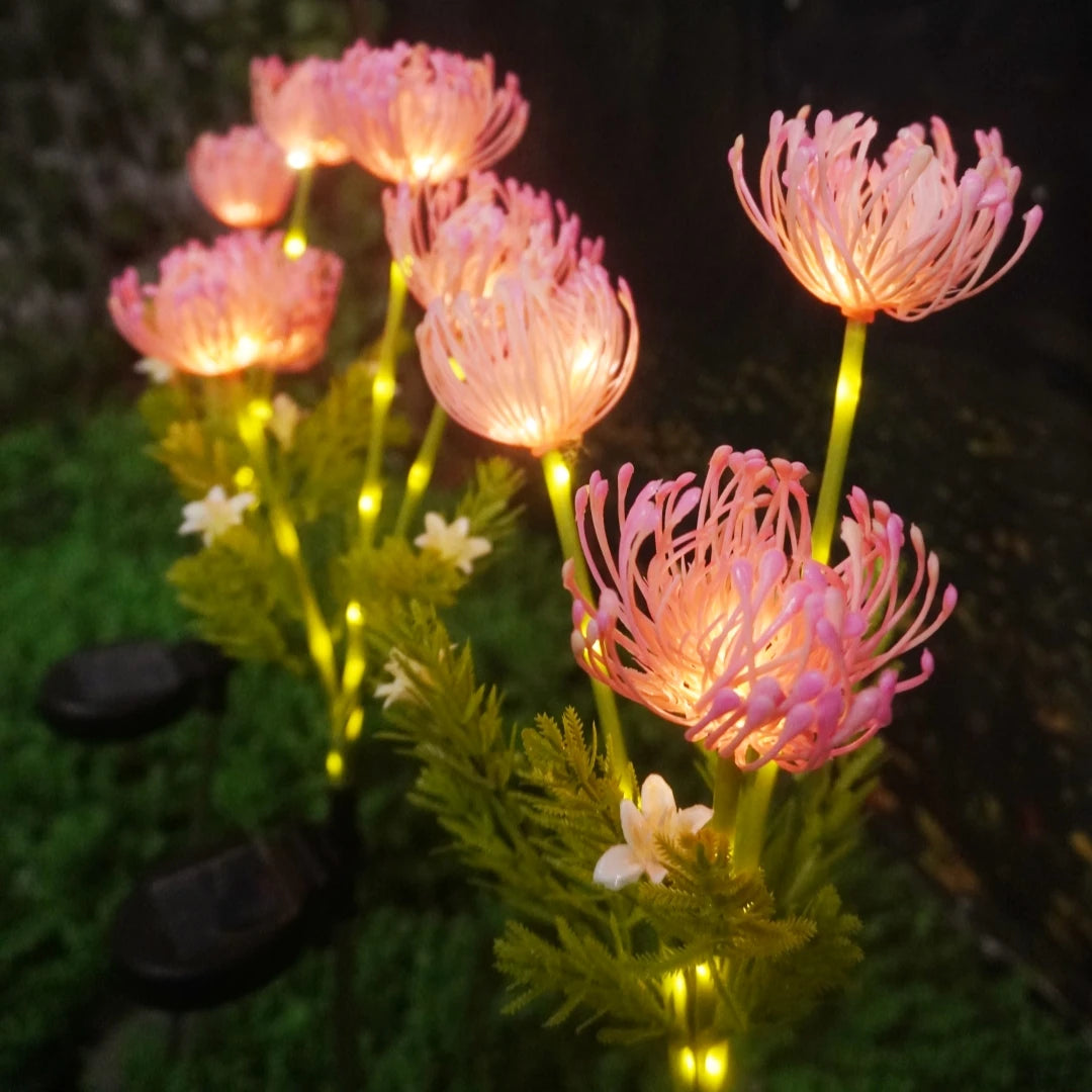 Solar Garden Lights