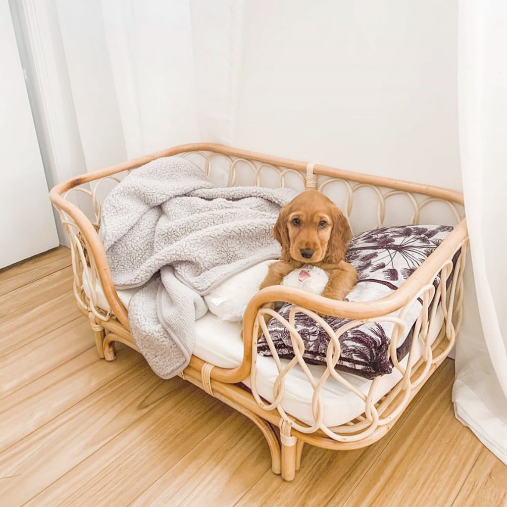 Pet Bed Handmade Rattan Woven Pet Bed Sofa For Dogs - AURA