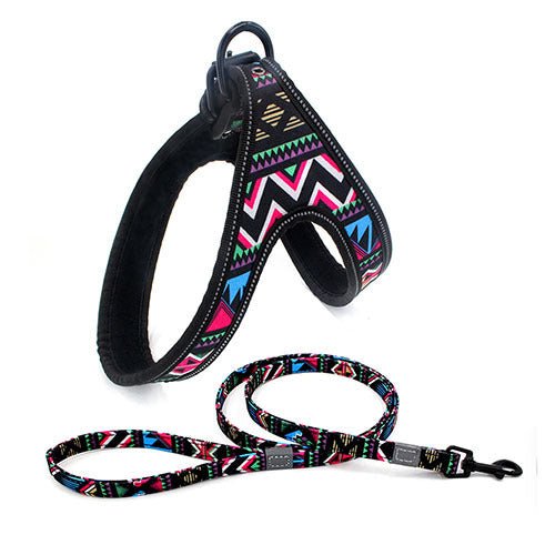 Colorful Dog Leash Dog Walking Rope Dog Explosion - proof Dog Chain - AURA