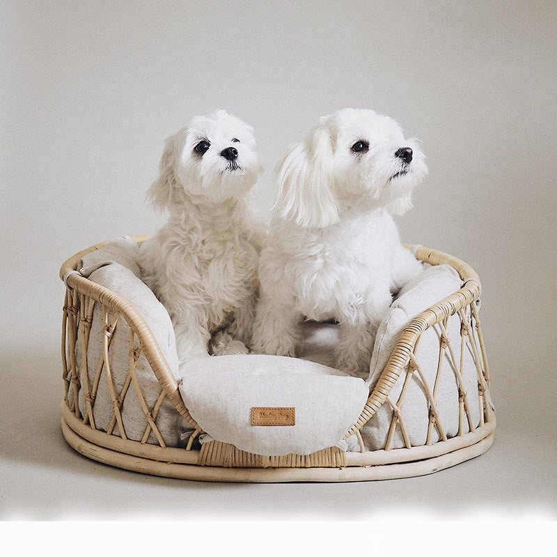 Pet Bed Handmade Rattan Woven Pet Bed Sofa For Dogs - AURA