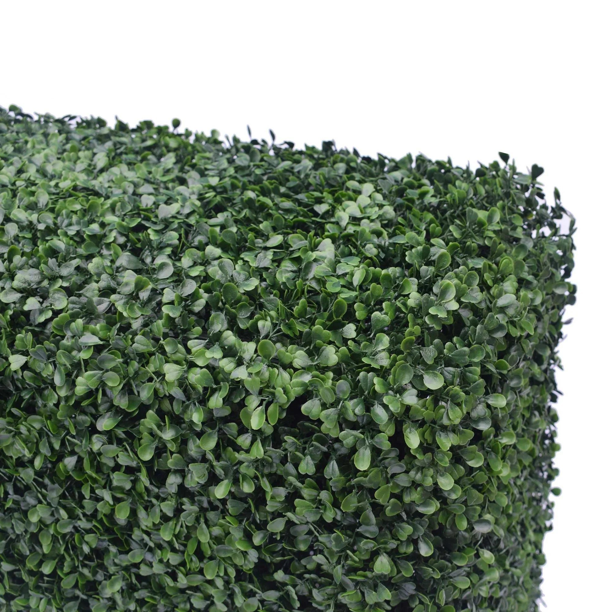 PORTABLE BOXWOOD HEDGE UV STABILISED 75cm High 100cm Long - AURA