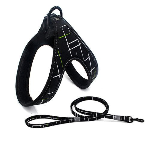 Colorful Dog Leash Dog Walking Rope Dog Explosion - proof Dog Chain - AURA