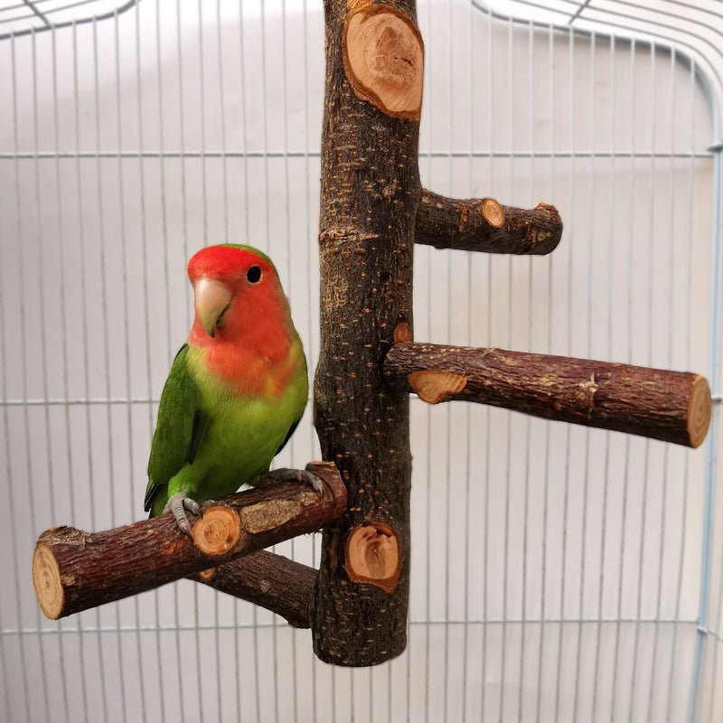 Parrot Bird Wood Stand Pole Toy - AURA