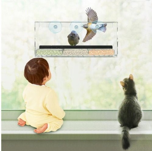 New acrylic feeder - AURA