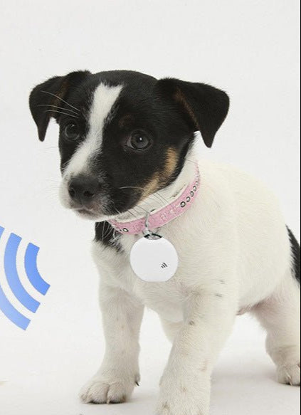 Smart Bluetooth Neutral Pet Anti Lost Location Tracker - AURA
