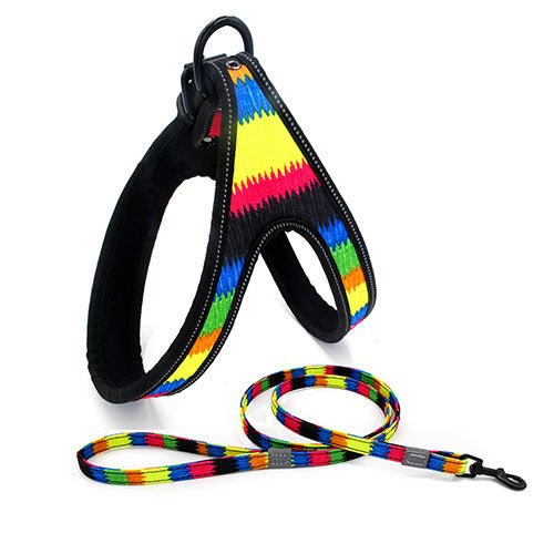 Colorful Dog Leash Dog Walking Rope Dog Explosion - proof Dog Chain - AURA
