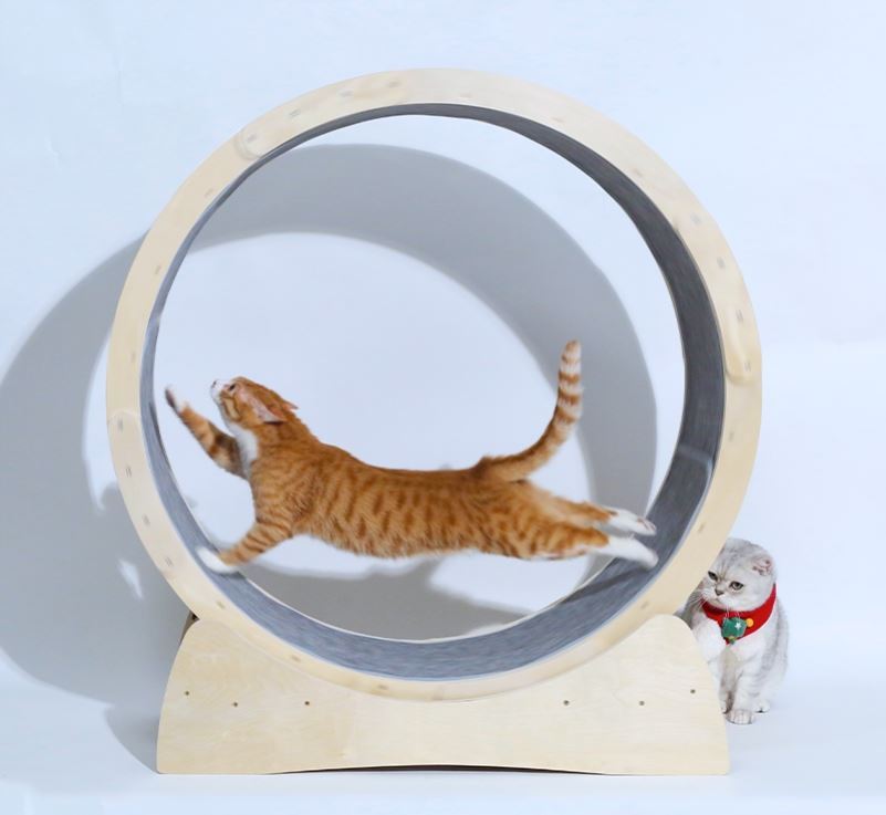Special Toys For Cat Treadmill Roller - AURA