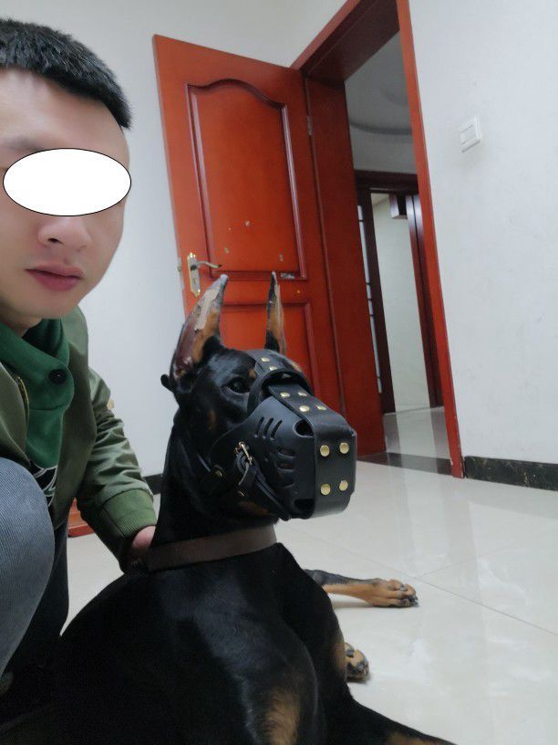 Cowhide Dog Muzzle Medium And Large Dog Horse Dog - AURA