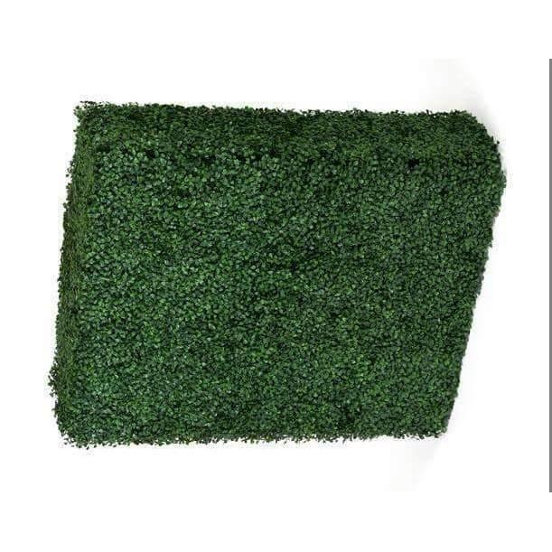 PORTABLE BOXWOOD HEDGE UV STABILISED 75cm High 100cm Long - AURA