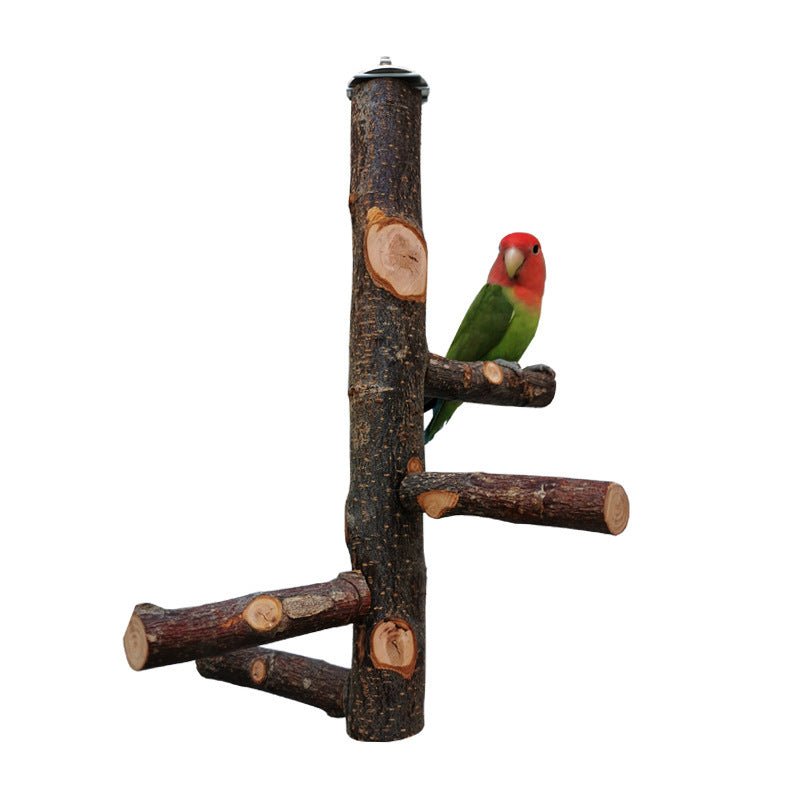 Parrot Bird Wood Stand Pole Toy - AURA