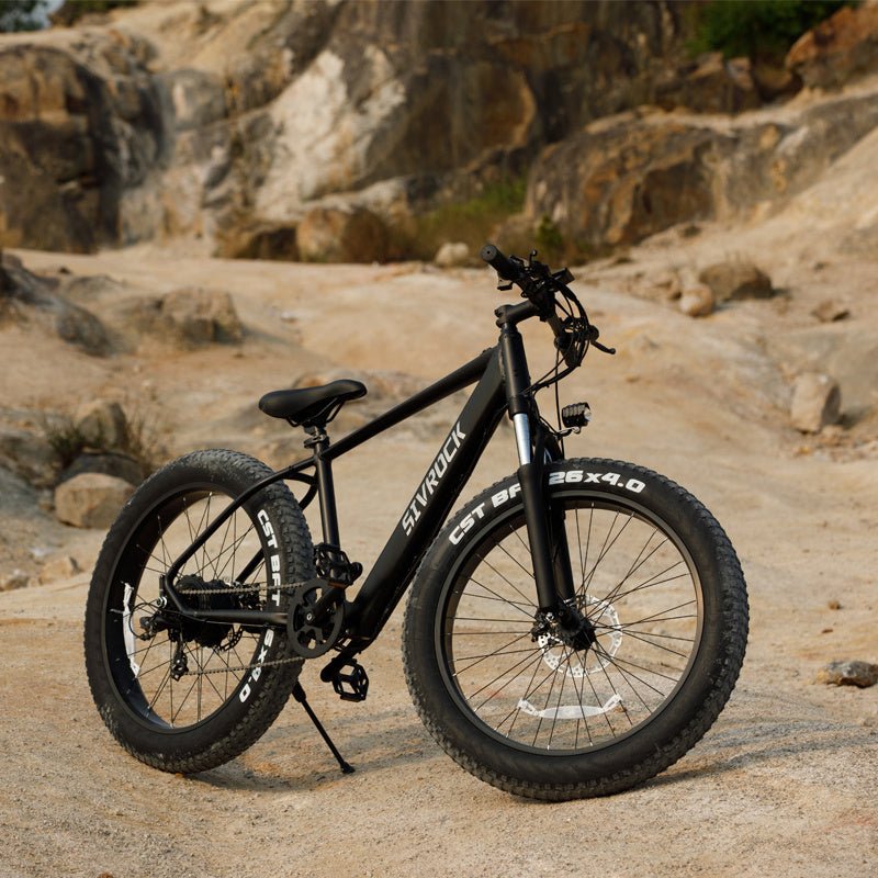 Professional Electric Bike For Adults, 26 X 4.0 Inches Fat Tire Electric Mountain Bicycle - AURA