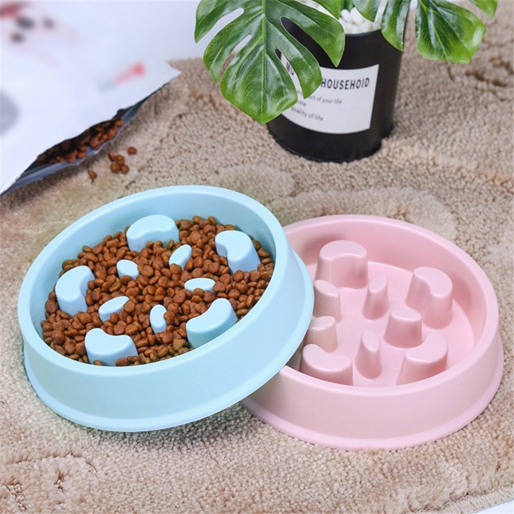 Pet Bowl Anti Choking Slow Feeding Puzzle Feeder - AURA