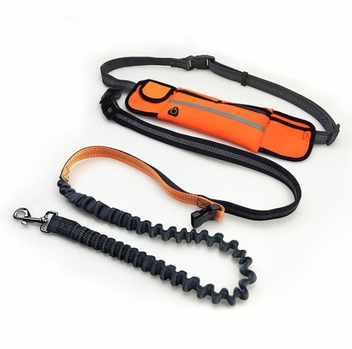 Hands - Free Dog Running Leash with Waist Pocket Adjustable Belt - AURA