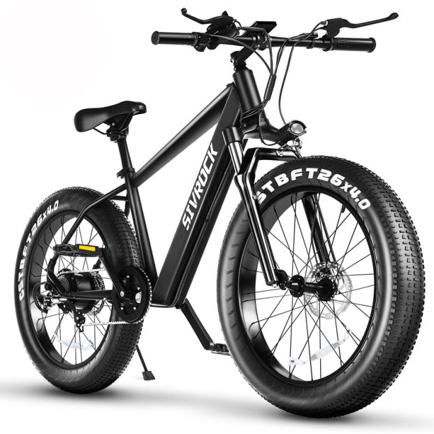Professional Electric Bike For Adults, 26 X 4.0 Inches Fat Tire Electric Mountain Bicycle - AURA